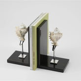 Ebony and Natural Shell Bookends by Petri Firenze - Main View