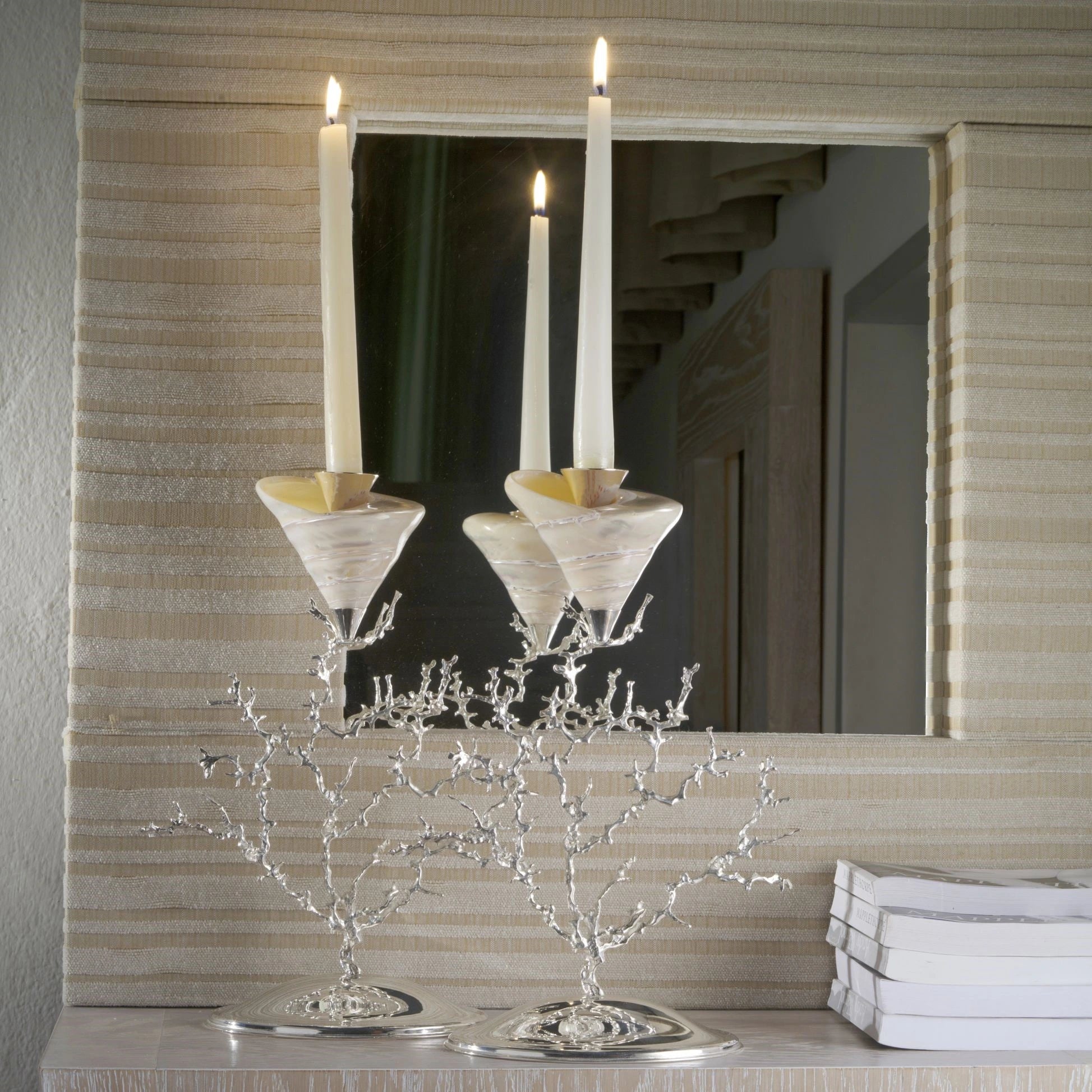 شمعدان بصدفة بحرية طبيعية وقاعدة فرع مرجاني مطلي بالفضة