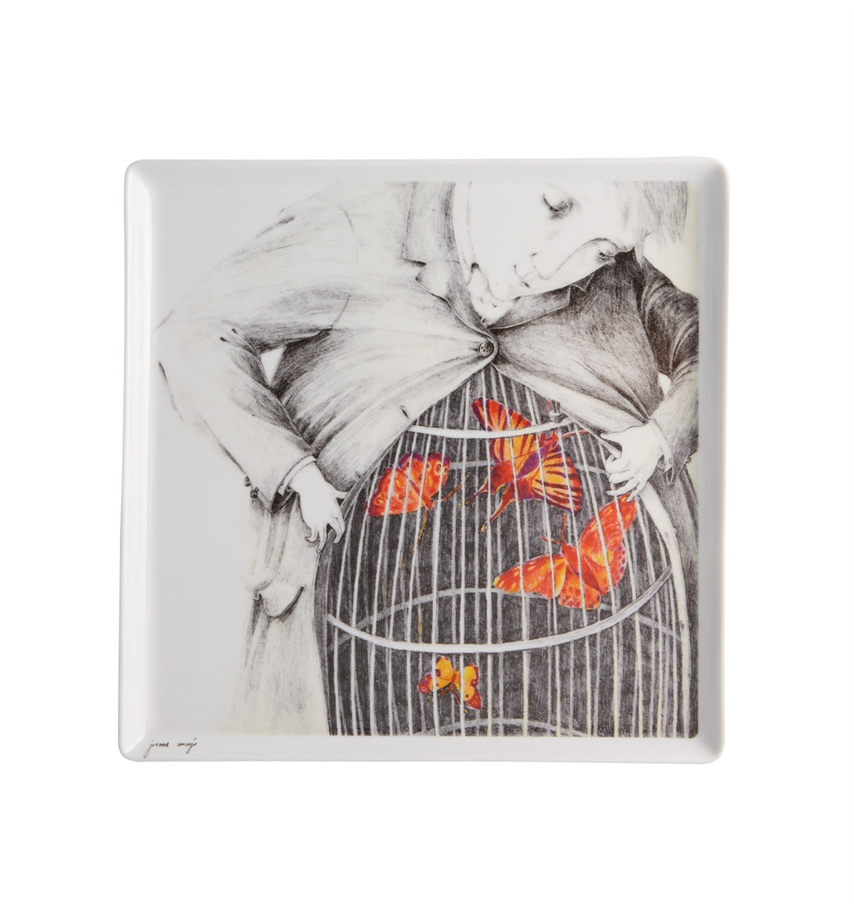 2i - Ilustradores Internacionais - Square Plate Joanna Concejo - LAZADO