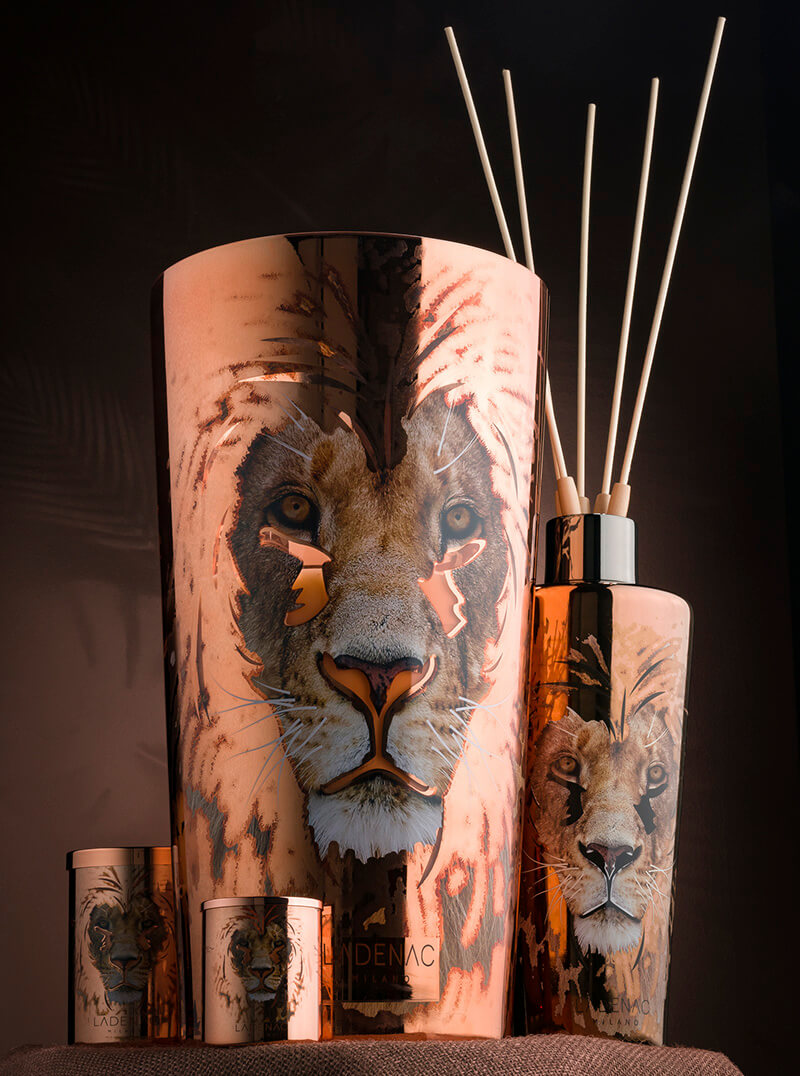 AFRICA DOMINATOR CANDLE - LAZADO