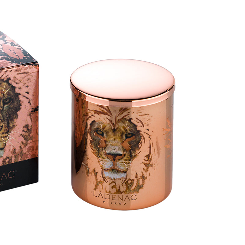 AFRICA DOMINATOR CANDLE - LAZADO