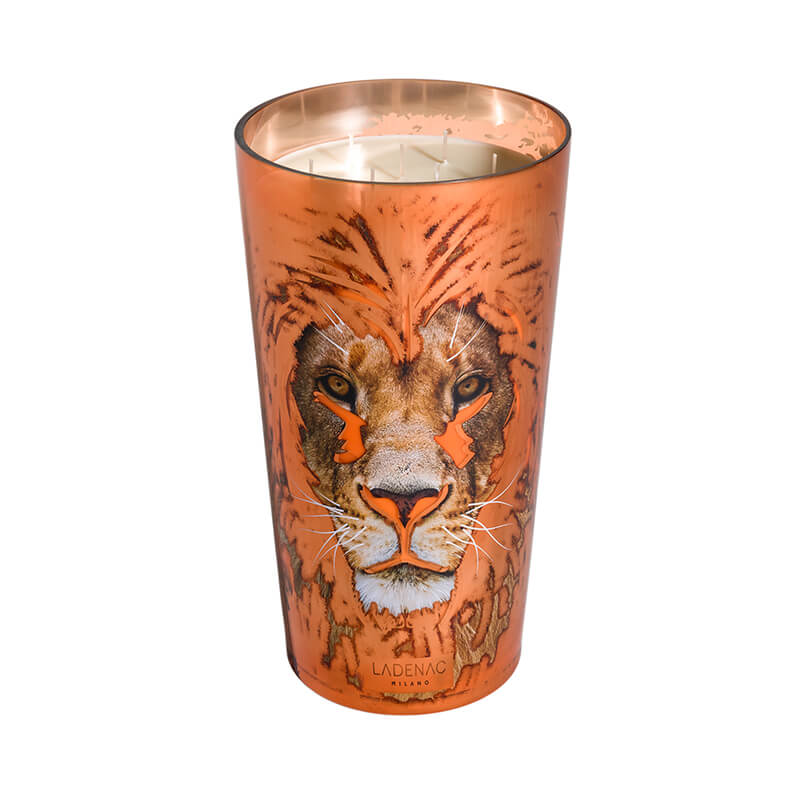 AFRICA DOMINATOR CANDLE - LAZADO