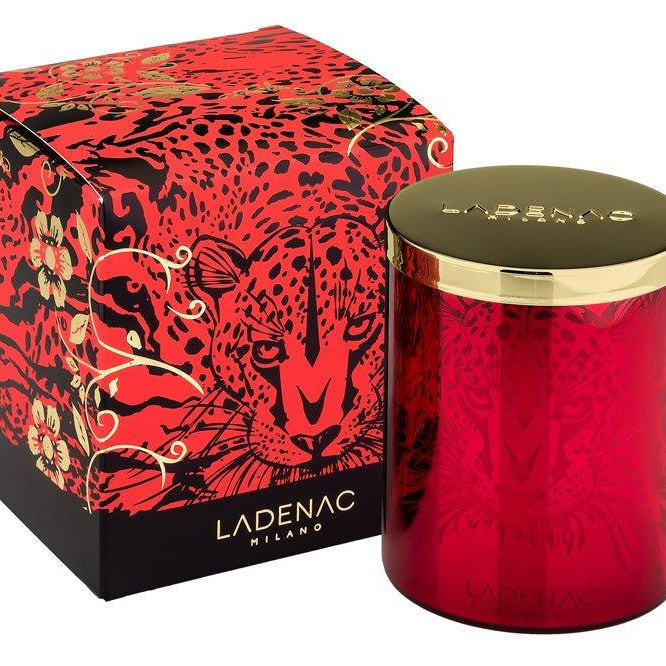AFRICA PREDATOR CANDLE - LAZADO
