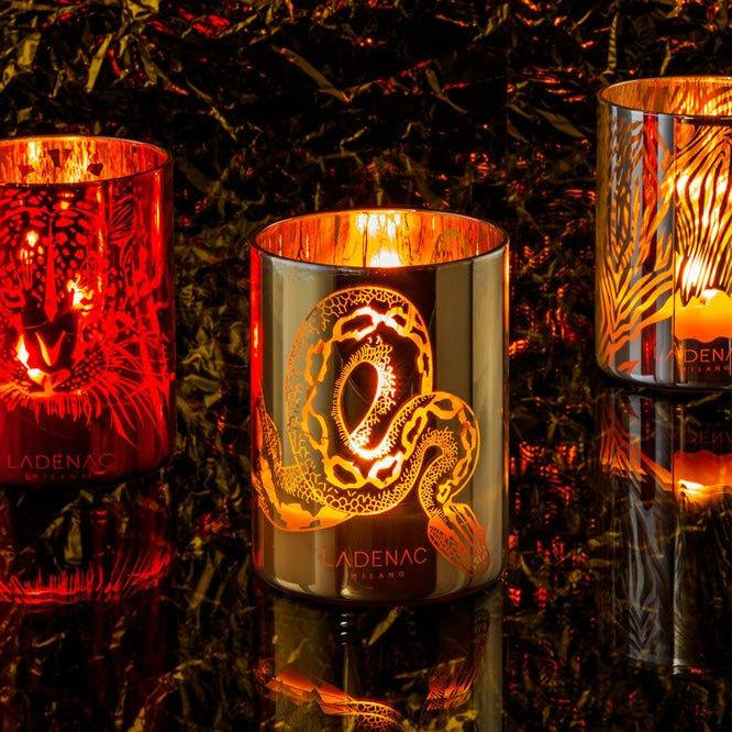 AFRICA PREDATOR CANDLE - LAZADO