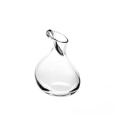 CASE WITH DECANTER WITH SPOON - LAZADO