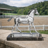 Silver Arabian Horse by Anglada Esculturas - Main View
