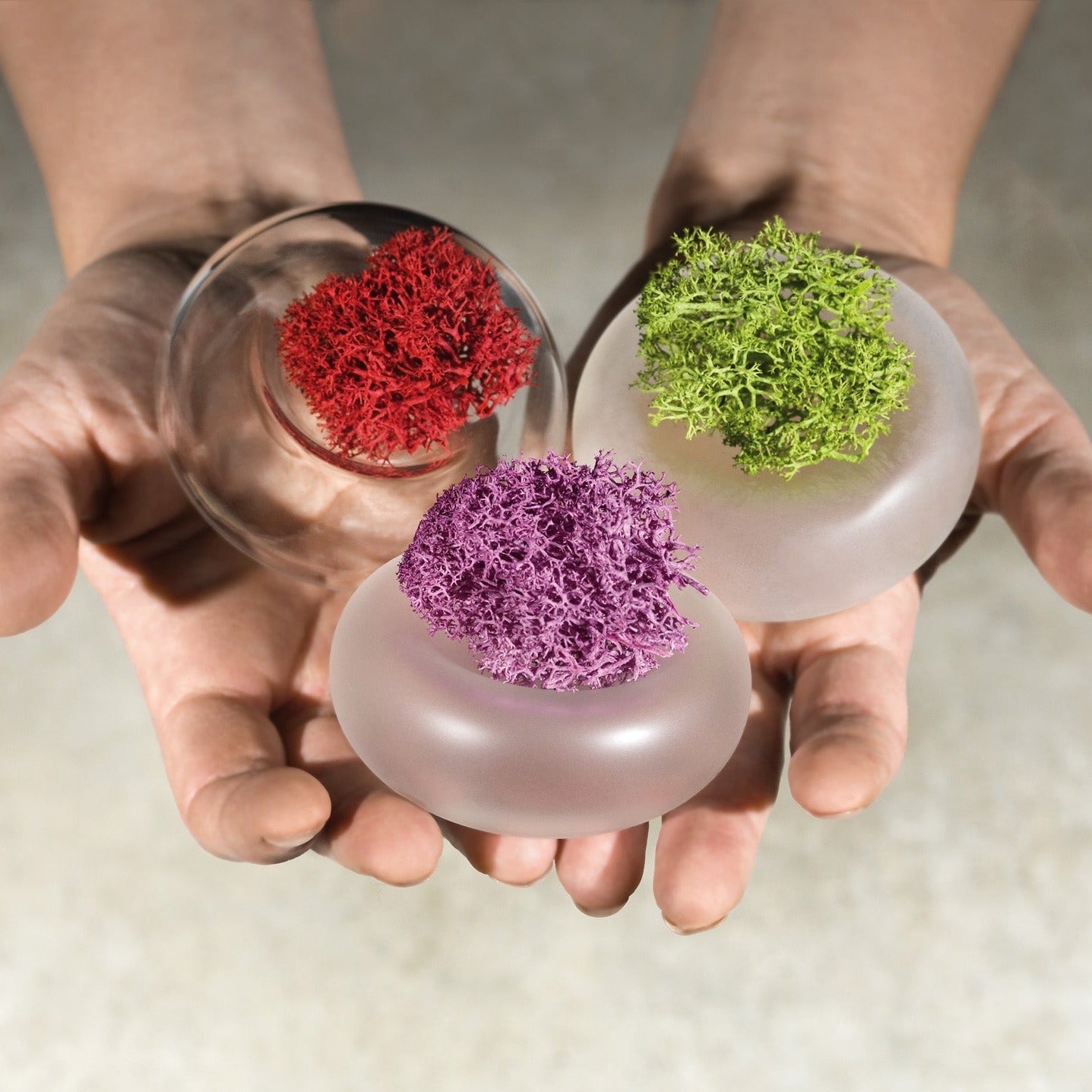 Cinini, tiny reversible TRANSPARENT - LAZADO