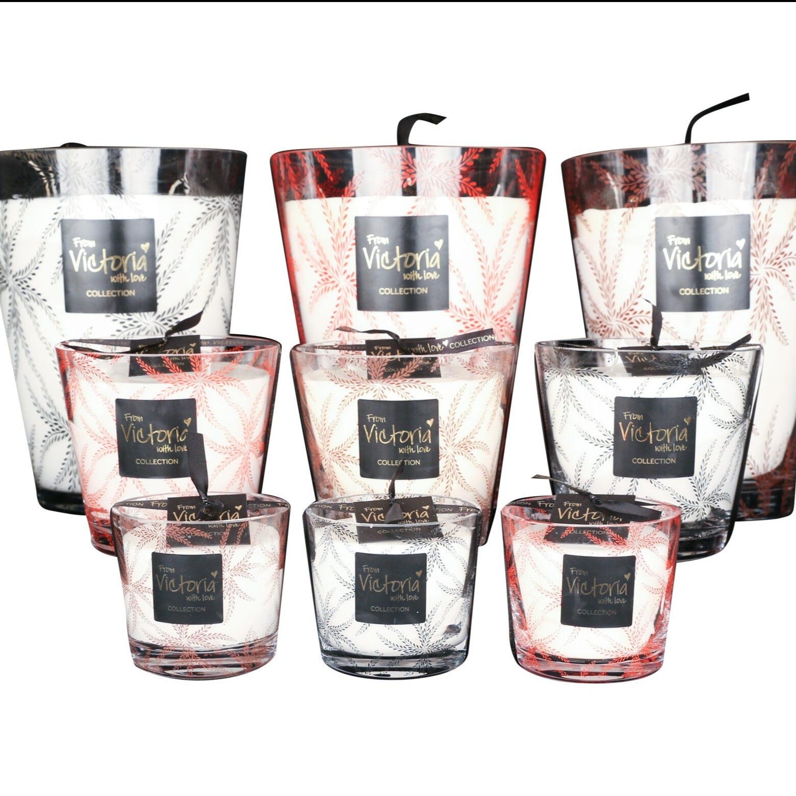 Ferns black - LAZADO