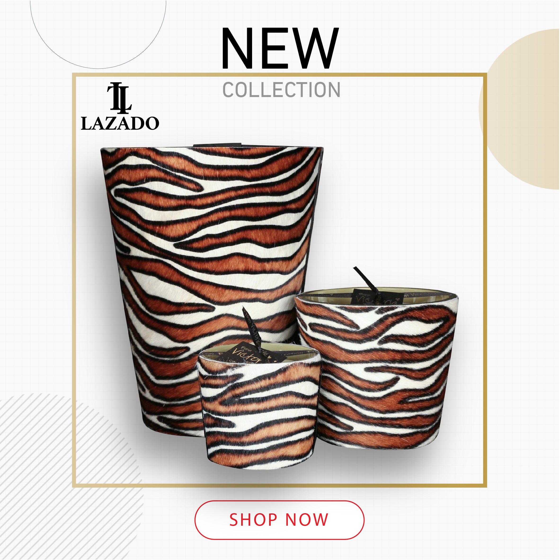 Hairy zebra tricolor - LAZADO