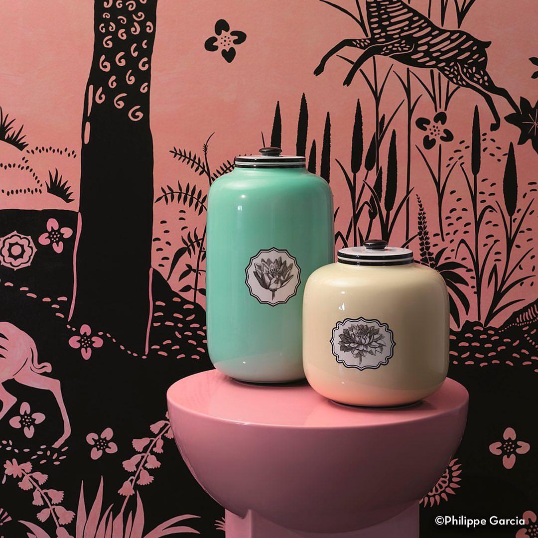 Herbariae - TIMOR BOX - LAZADO