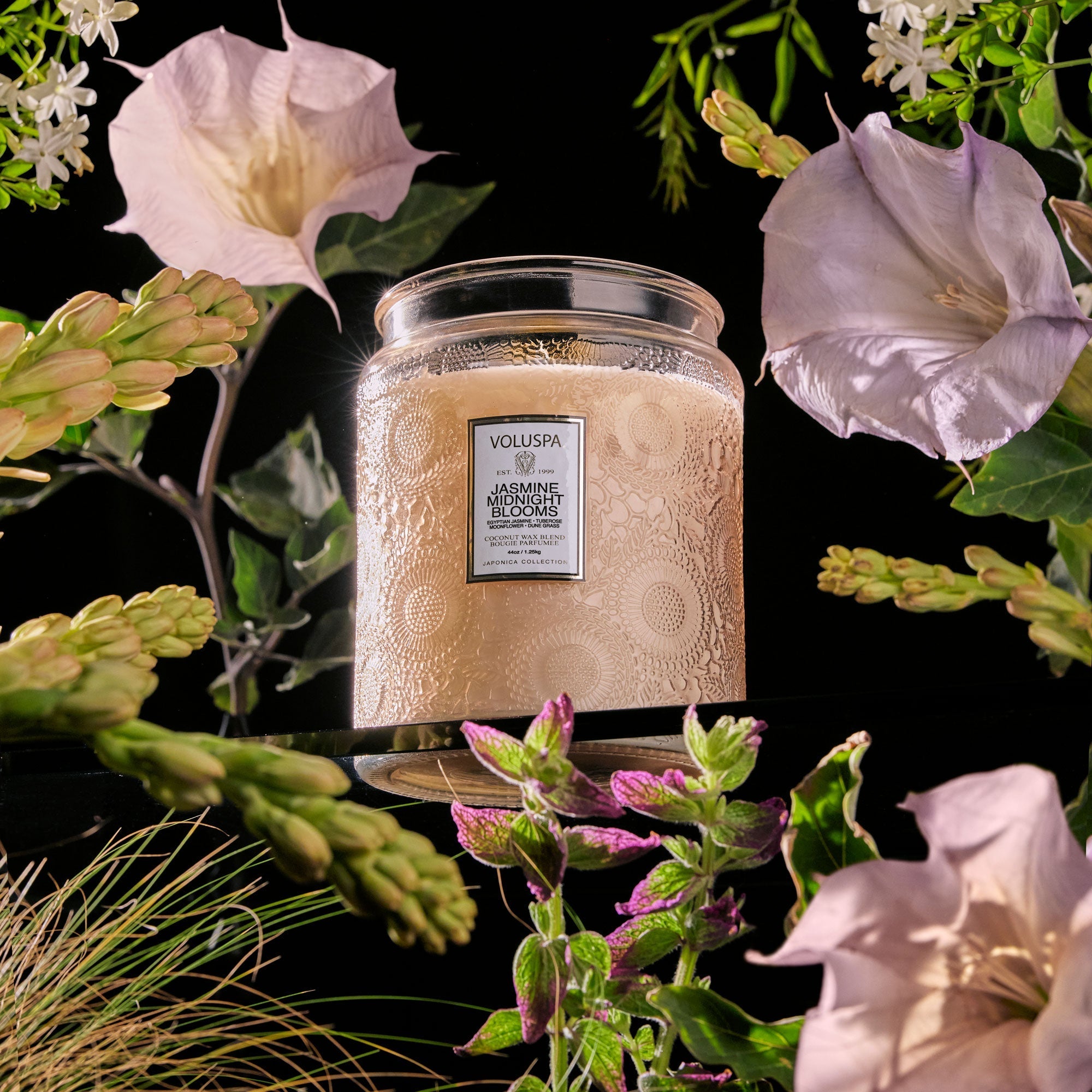JASMINE MIDNIGHT BLOOMS - LUX JAR CANDLE 1.25KG - LAZADO