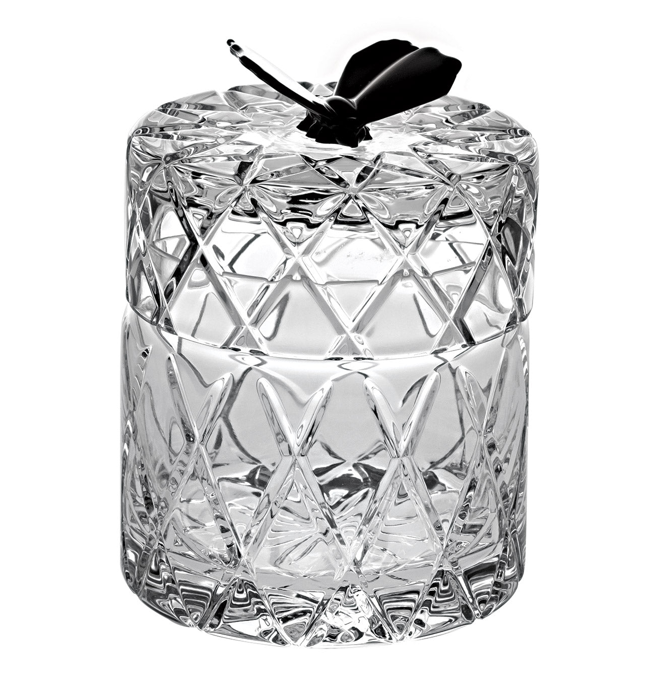 Papillon Noir - Box - LAZADO