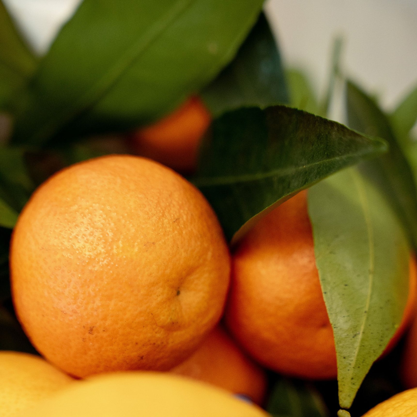 حلوى ناعمة بنكهة الماندرين المغطاة بالسكر البودرة - 200 غرام