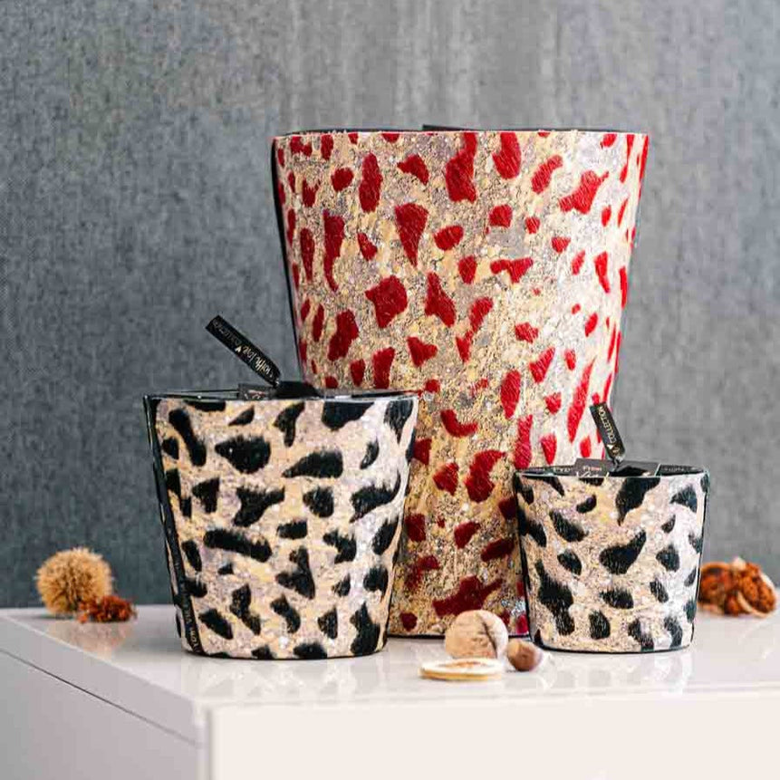 Victoria limited 2022 gold black - LAZADO