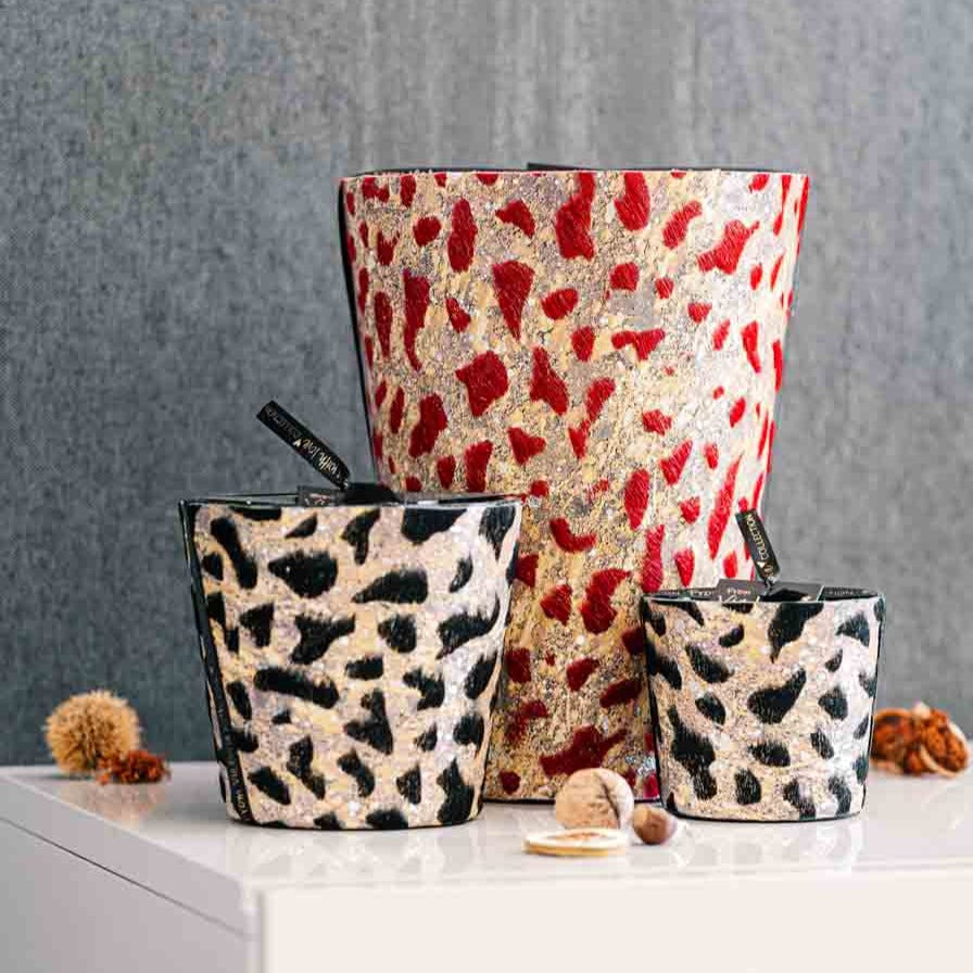 Victoria limited 2022 gold red - LAZADO