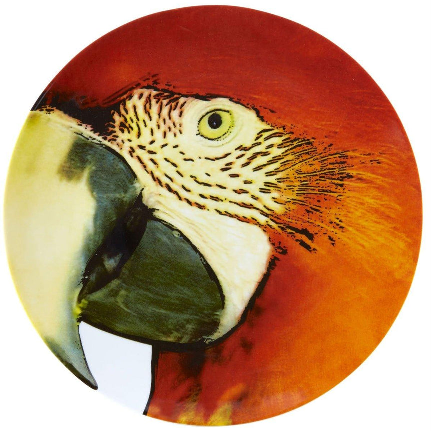 Olhar o Brasil - Charger Plate Red Macaw - LAZADO