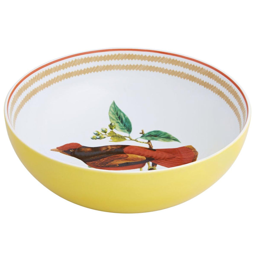 Olhar o Brasil - Salad Bowl - LAZADO