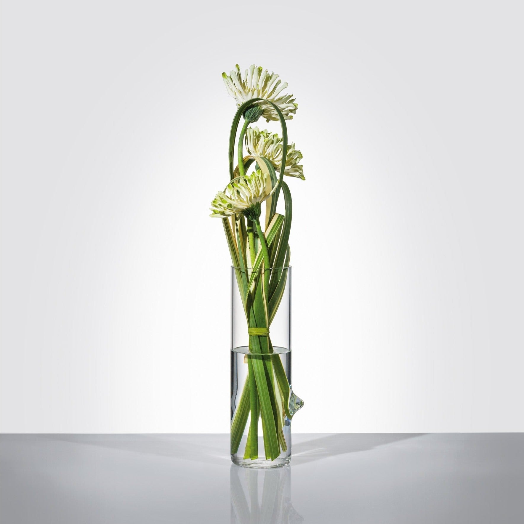 Pablo, vase/jug - LAZADO