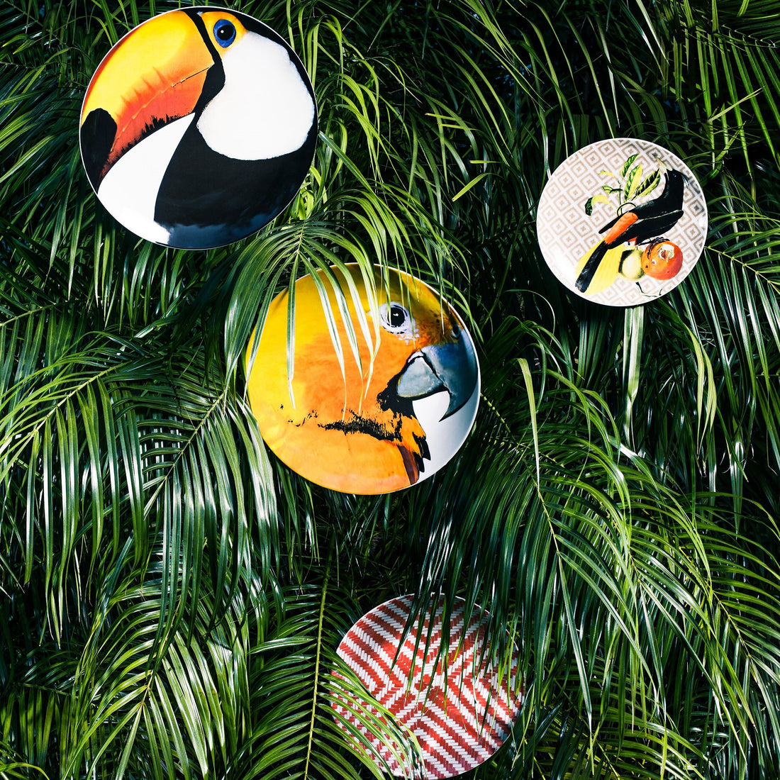 Olhar o Brasil LAZADO