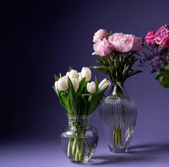 حديقة الكريستال - مزهرية ايريس