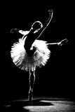 Madeira 600 - Vase Ballerina by Vista Alegre - Alternate Angle