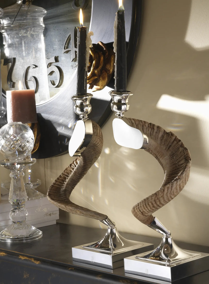 زوج شمعدانات بقرون طبيعية وقاعدة مطلية بالفضة
