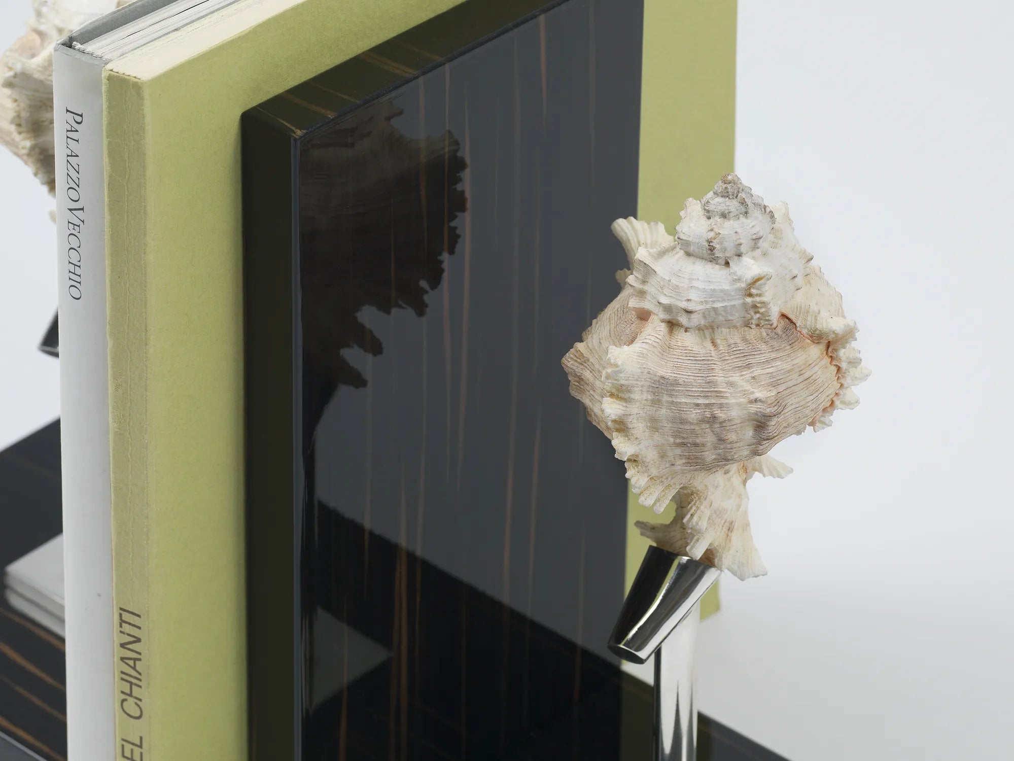 Ebony and Natural Shell Bookends by Petri Firenze - Alternate Angle