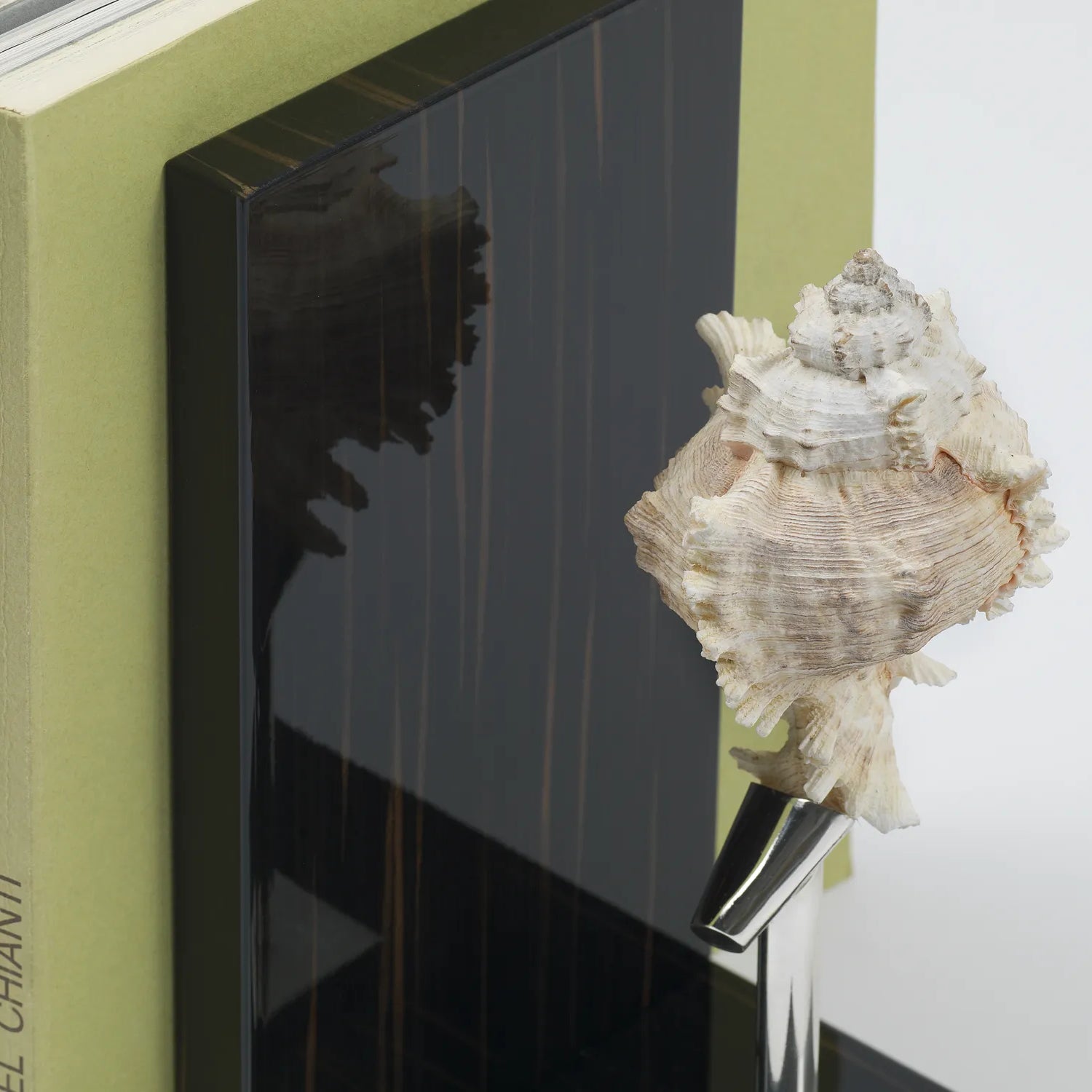 فواصل كتب من خشب الأبنوس مع أصداف بحرية طبيعية