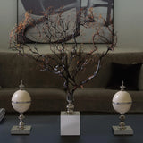 Natural Gorgonia Coral Sculpture on Nickel-Plated Base