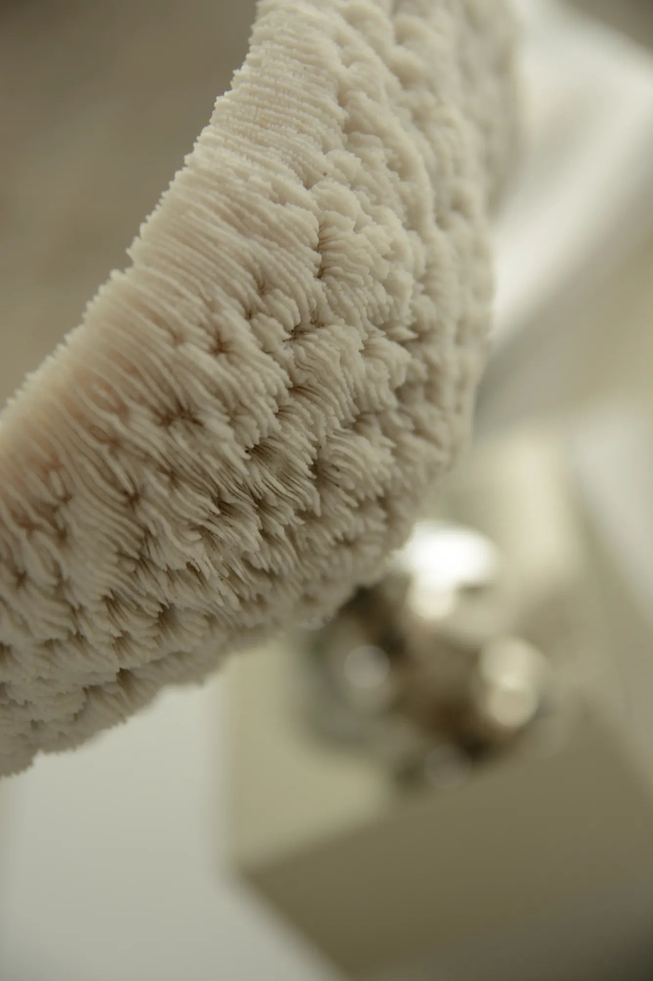 مرجان أبيض طبيعي على قاعدة من النيكل – شكل وعاء