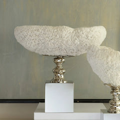 White Halomitra Coral Bowl on Nickel-Plated Base by Petri Firenze - Main View
