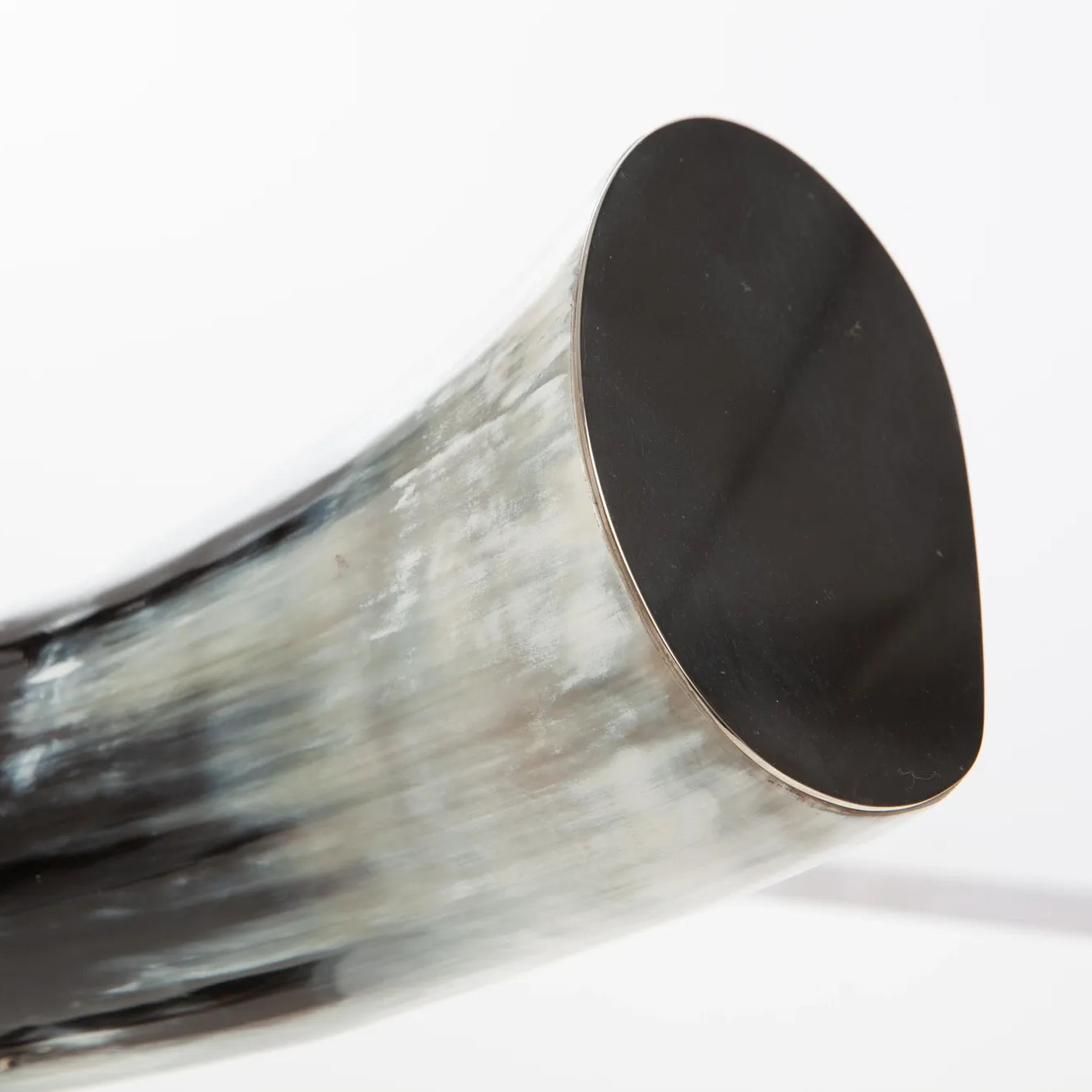 Horizontal Natural Horn Decor on Nickel-Plated Base