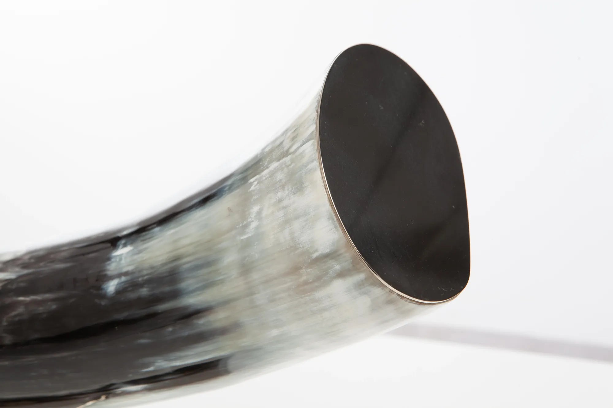 Horizontal Natural Horn Decor on Nickel-Plated Base