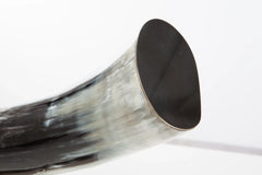 Horizontal Natural Horn Decor on Nickel-Plated Base by Petri Firenze - Close-up