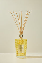 مونت كارلو نايت (Montecarlo Night)