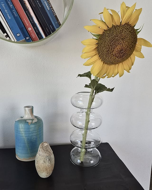 مزهرية من الزجاج