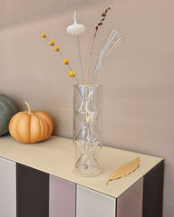  مزهرية بتصميم من الزجاج 