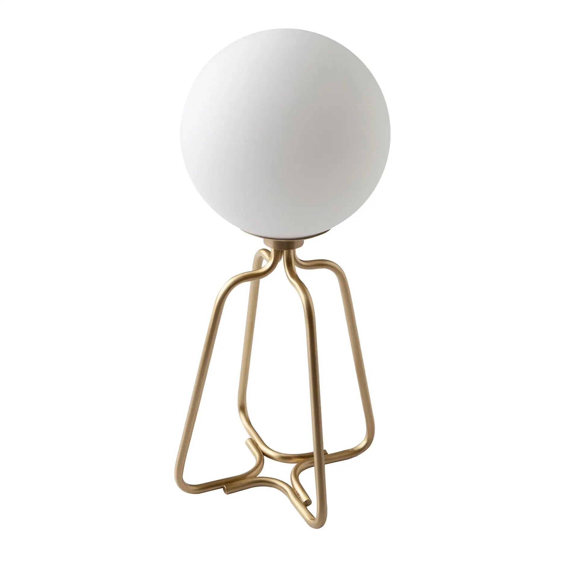 8101 product 03