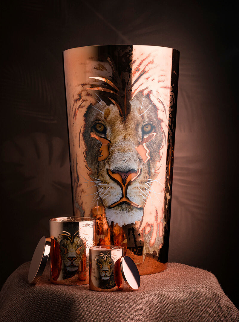 AFRICA DOMINATOR CANDLE - LAZADO