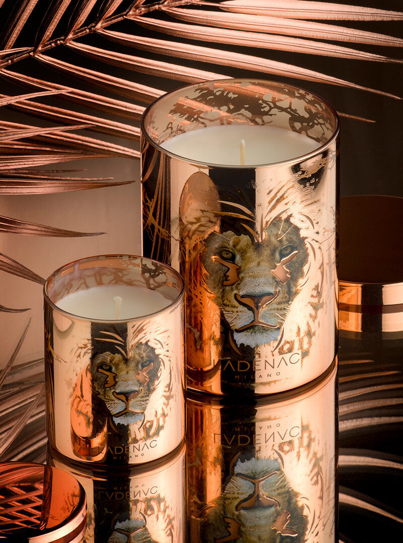 AFRICA DOMINATOR CANDLE - LAZADO