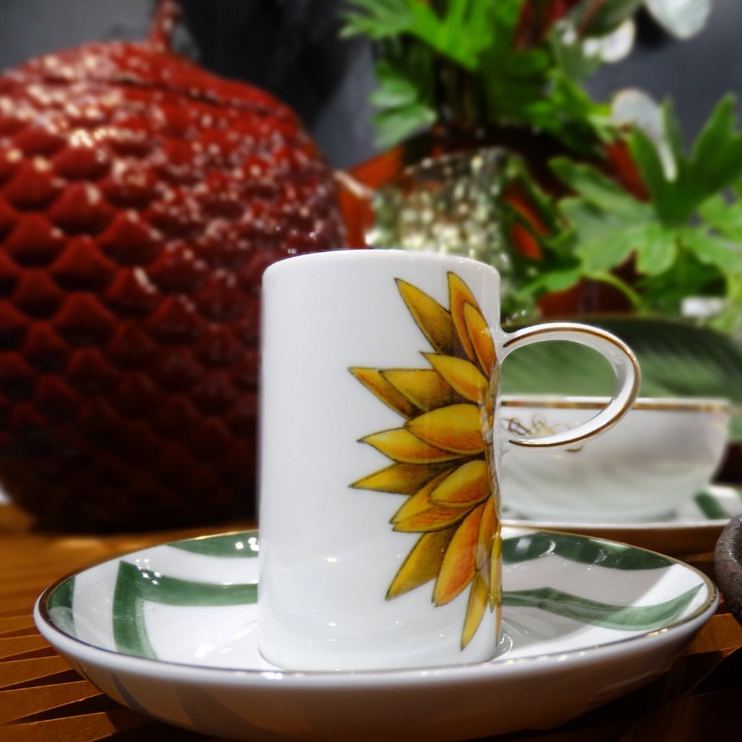 Amazonia  - 14 Piece Coffee Set - LAZADO