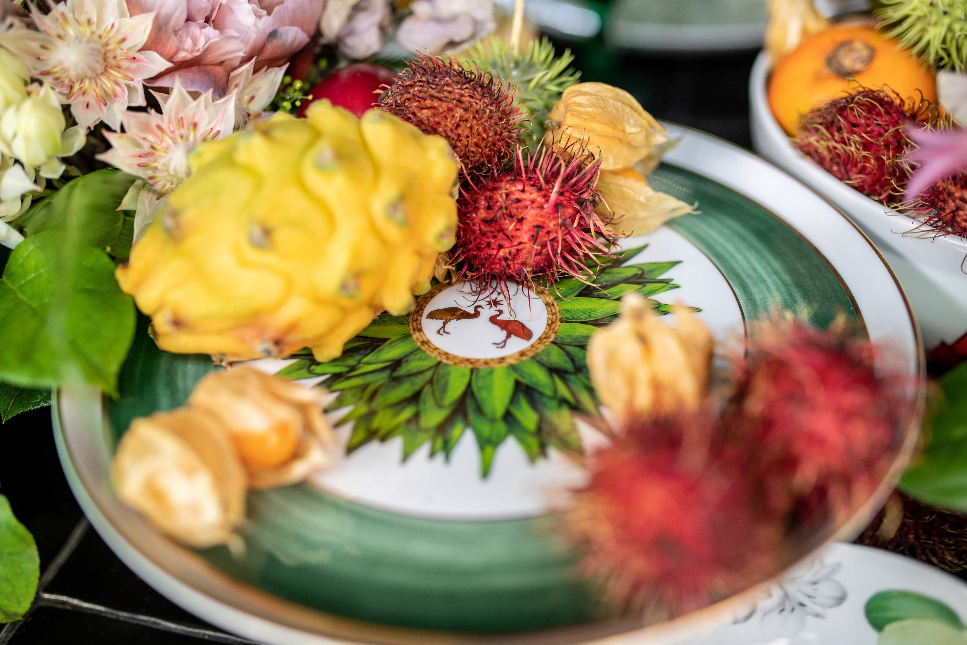 Amazonia - Olive Dish - LAZADO