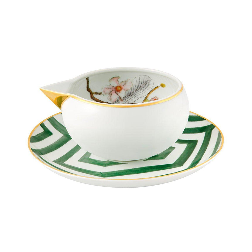 Amazonia collection 1 (41 Parts)