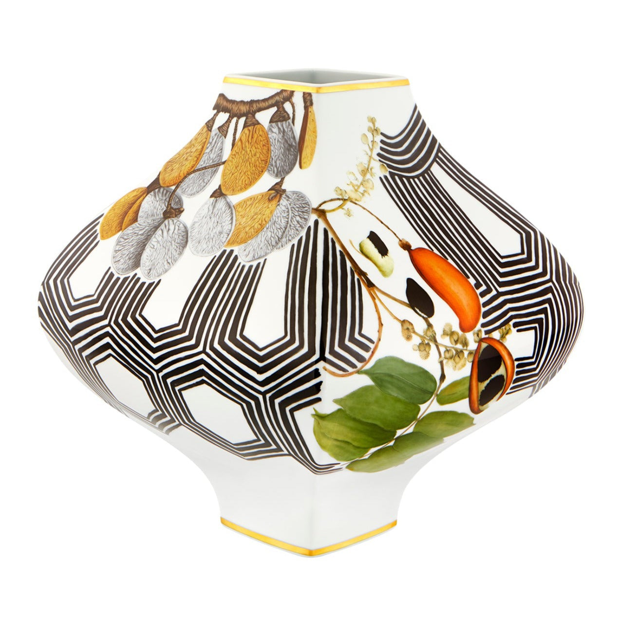 Amazonia - Vase Sementes - LAZADO