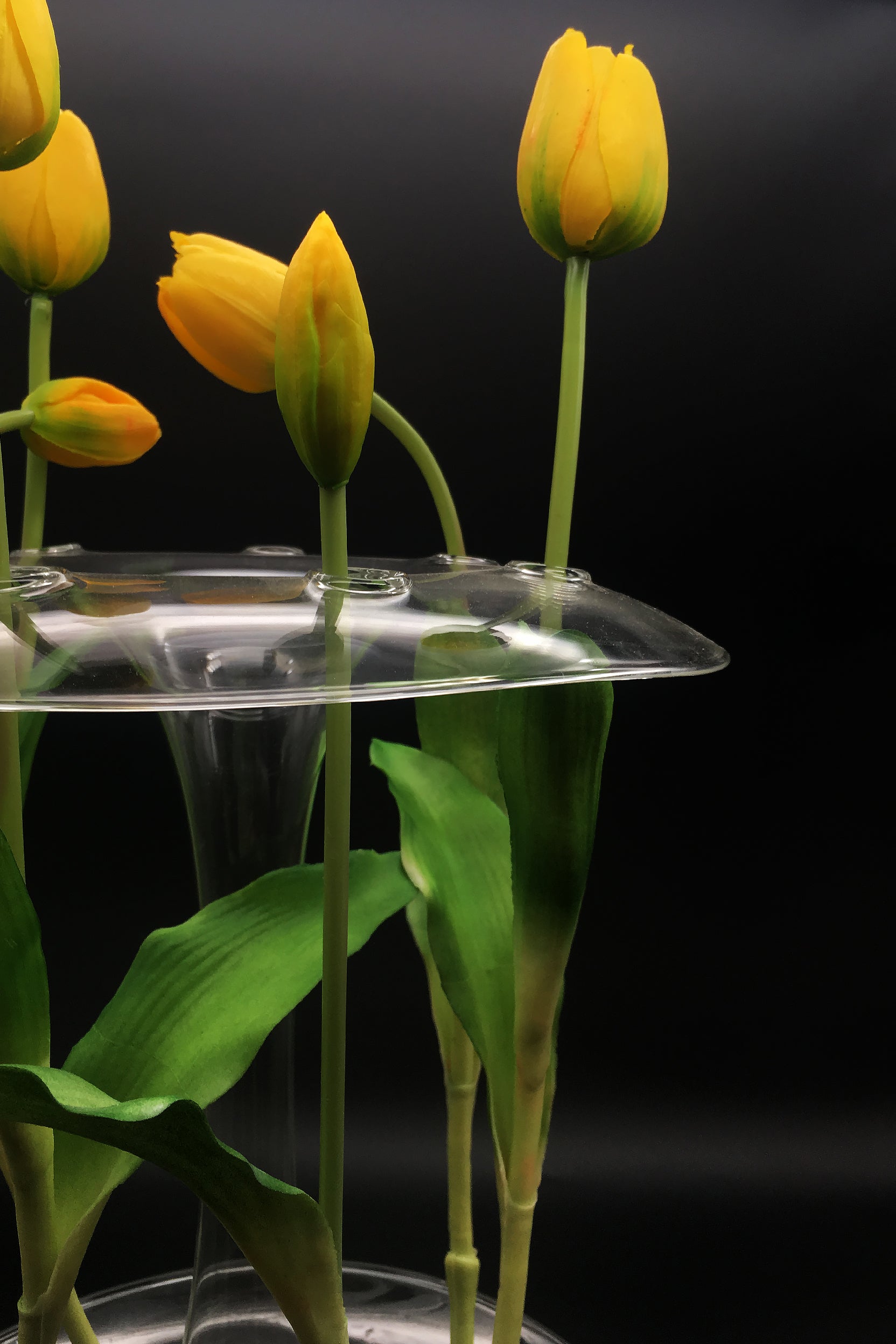 Aqua - vase/table vase - LAZADO