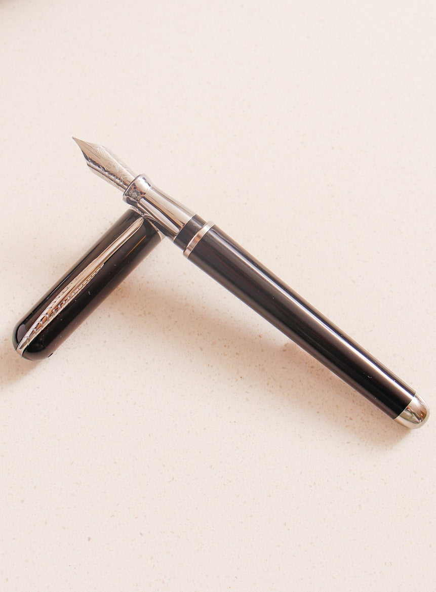 Avatar UR Fountain Pen - LAZADO