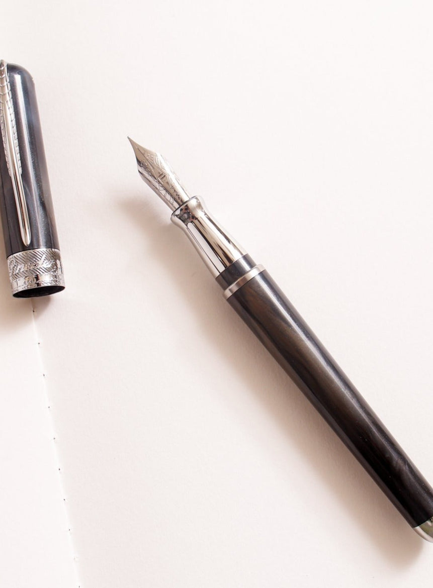 Avatar UR Fountain Pen - LAZADO