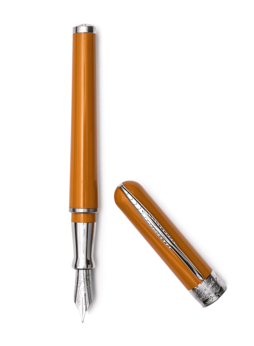 Avatar UR Personal Fountain Pen - LAZADO