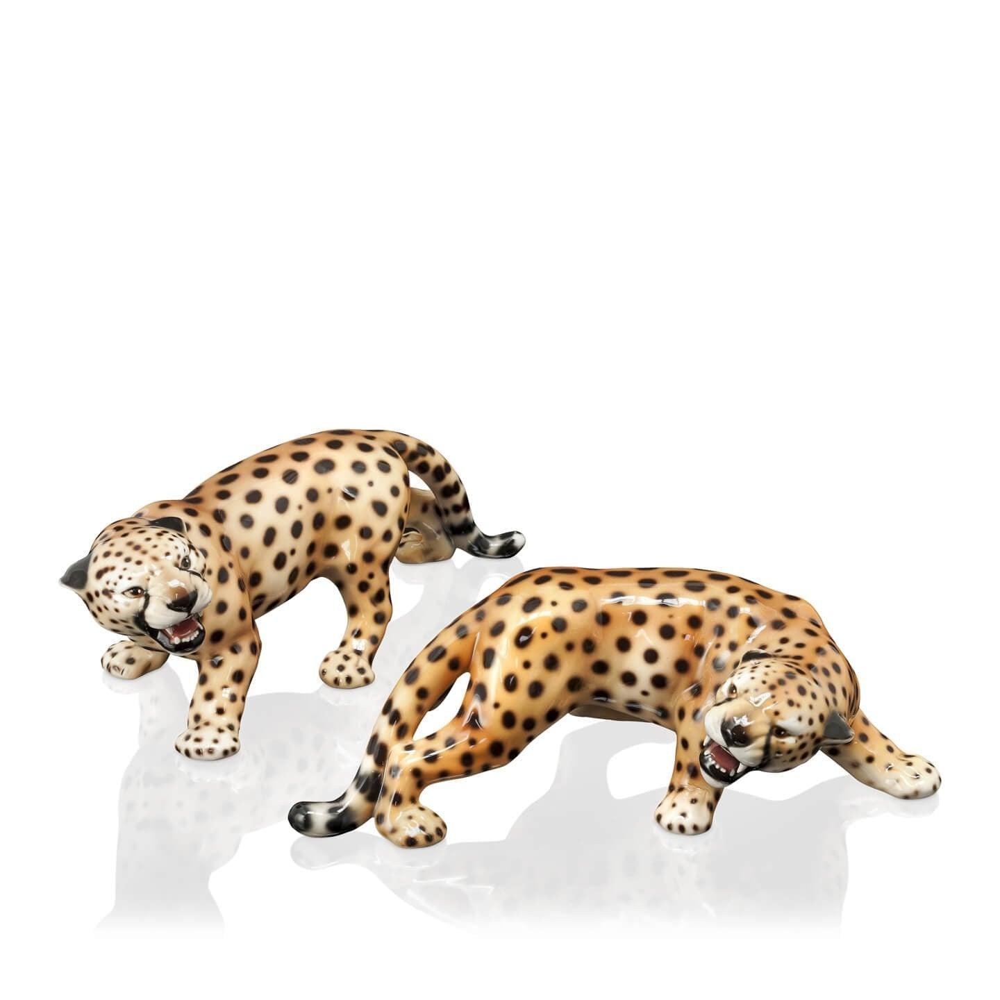 CHEETAH SET 2PCS - LAZADO