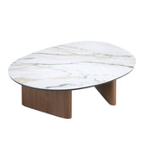 Organic-Shaped Porcelain Marble and Walnut Coffee Table